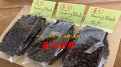 【直火焙煎・アフリカ名産豆】Shining Black モカ 240gのサムネイル
