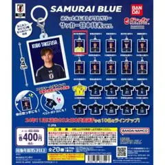 ガチャ ふらっとめじるしアクセサリー サッカー日本代表ver 鈴木 彩艶のサムネイル