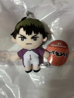 ハイキュー　牛島若利　マスコットぬいぐるみ4 　モーリー限定　③