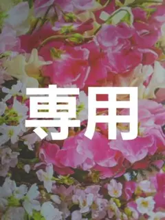 L～XL 【新品インポートセレクト】ストレッチボディコンシャスデザインドレス