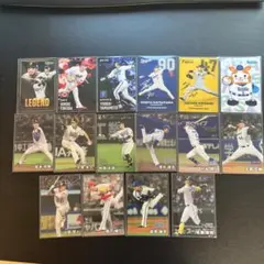 カルビー プロ野球チップス2024 カード 14枚セット