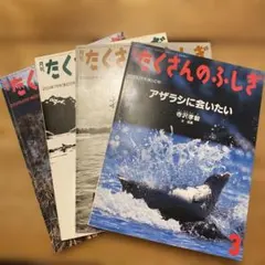 ☆*☆様 児童書を超え大人も目が丸く！　たくさんのふしぎ 月刊　４冊セット