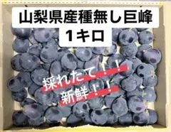 山梨県産 巨峰　種無し　1キロ　新鮮　きょほうのサムネイル