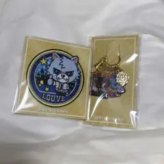 即発送★三代目JSB ONE 特典 ルーヴ ワッペン チャーム