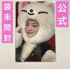 stray kids アイエン　トレカ　JYP特典　skzoo maxident