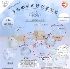 うちの子のけだまだま　犬　三角たれみみ　丸たれみみ　ミックス　3点セット　③