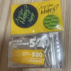 嵐 Are You Happy? 5x20 グッズセット