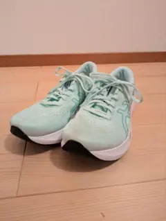 新品未使用アシックスエボライドスピード3サイズ28cmカラーミント ASICS】 アシックス W EvoRide Speed 3 W エボライドスピード 3