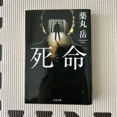 死命