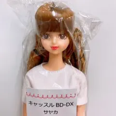 2025年最新】リカちゃんキャッスル サヤカの人気アイテム - メルカリ