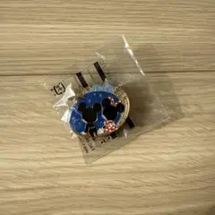 夜限定　ディズニーミッキーマウスピンバッジ