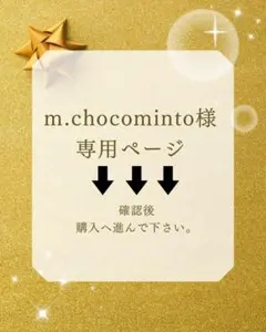 m.chocominto様専用ページ