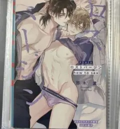ロストバージン how to sex ドラマCD コミコミスタジオ 小冊子