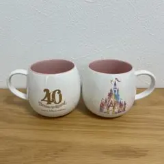 【新品未使用】ディズニーランド 40周年 マグカップのサムネイル