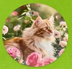 Item thumbnail for item 87b27500-f059-40a4-8105-f99e43d8246a