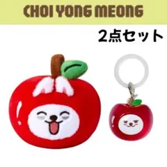 TXT プルバトゥ Appleりんご ポップアップ ストレスボー　5点 スビン TXT プルバトゥ Apple りんご ポップアップ ストレスボール