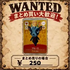 ブルース　amiibo あつ森　アミーボカード