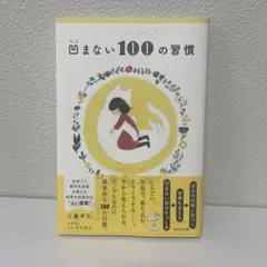 凹まない100の習慣