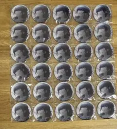 プロセカ　グリッター缶バッジ　vol.31 a 朝比奈まふゆ