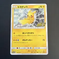 2026年最新】ピカチュウ プロモキャンペーンの人気アイテム - メルカリ