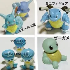 【進化セット】 【７匹】ゼニガメ カメール ２匹 カメックス クワッス ２匹
