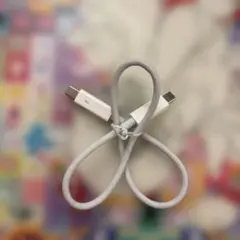 APPLE THUNDERBOLT 2 0.5m ケーブル