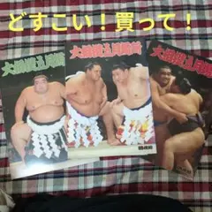 【激レア】大相撲五月場所　冊子3冊セット