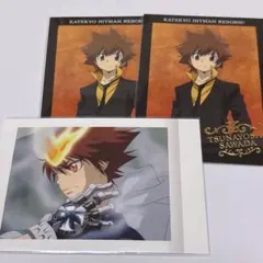 リボーン 沢田綱吉 ぱしゃこれ 箔押し