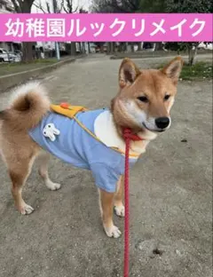 Item thumbnail for item 5455d047-fca7-442a-92c1-1a14b05aefd5