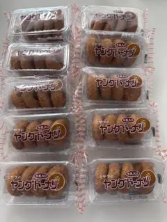 【宮田製菓】ミヤタのヤングドーナツ ４個入り✖️10袋 お菓子まとめ売