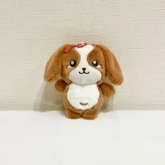 新品未使用 ワンたん ぬいぐるみ キーホルダー 即日発送のサムネイル