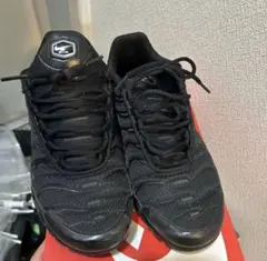 Nike Air Max Plus マップラ