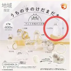 けだまだま 地域限定