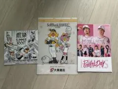 福岡ソフトバンクホークス 鷹祭 ピンクフルデー 冊子2点&クリアファイルセット