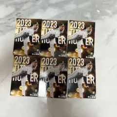 2023 TITLER カルビー トレーディングカード 6枚セット