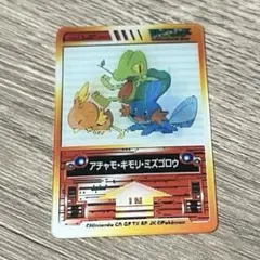 ポケモン 3Dカード カントー御三家 アチャモ キモリ ミズゴロウ