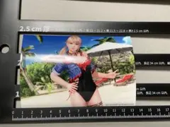 DOAXVV エイミー