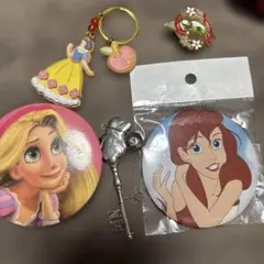 ディズニープリンセス バッジ 3個セット 12月発売 3個セット ランダム Disney Characters 刺繍缶バッジ