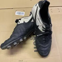 2025年最新】ティエンポレジェンド6の人気アイテム - メルカリ