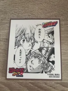 ジャンプフェスタ 2025 アニメイト 特典 色紙 REBORN！