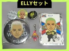ELLY缶バッジ・キーホルダーセット‼️最終値下げ中