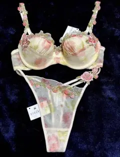 ☆ワコール パルファージュ Ｄ65✖️Ｓsizeソング ☆ワコール パルファージュ D65✖️Ssizeソング 2025年最新