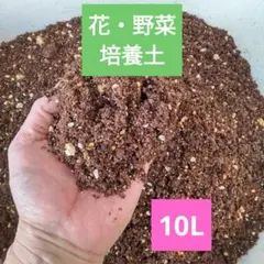 畑土 たっぷり 20L以上 各務原市鵜沼の高級黒土 家庭菜園 野菜の土 黒