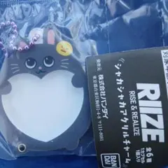 RIIZE ウォンビン シャカシャカアクリルチャーム ガチャ