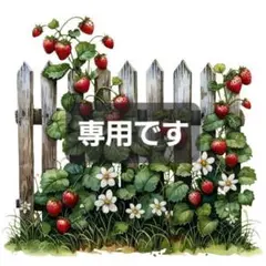 専用です