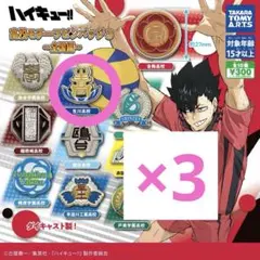 ハイキュー!! 高校モチーフピンバッジ3 全国編 生川高校