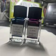 パイロット万年筆インク 色彩雫 2本セット