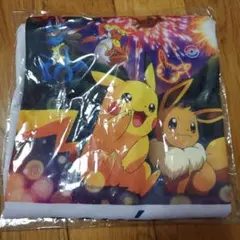 ポケットモンスター Tシャツ 新品タグ付き