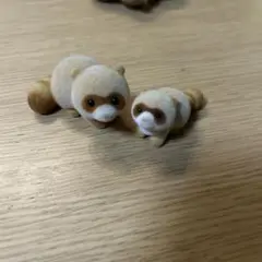 センテックス たぬき フロッキー 人形