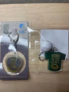 【新品未開封】甲子園100周年甲子園の土キーホルダー＆甲子園歴史館キーホルダー